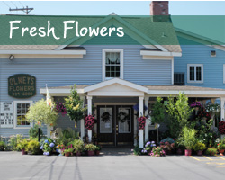 Olney's Flowers of Rome, NY