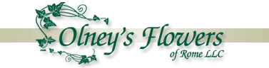 Olney's Flowers. Florist, Gifts and Greenhouse, located in Rome, New York.