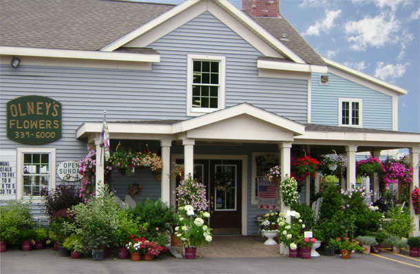 Olney's Flowers of Rome, NY