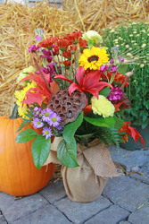 Fall Celebrations