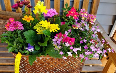 Annual Basket from Olney's Flowers of Rome in Rome, NY