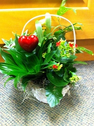 Dishgarden Basket of Love from Olney's Flowers of Rome in Rome, NY