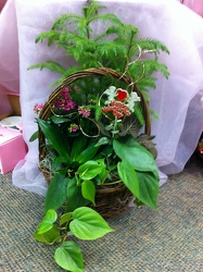 Valentine's Dishgarden Basket from Olney's Flowers of Rome in Rome, NY