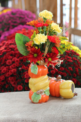 Pumpkin Vase from Olney's Flowers of Rome in Rome, NY
