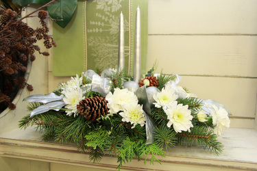 Silver Snow Flake from Olney's Flowers of Rome in Rome, NY