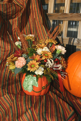 Harvest Pumpkin