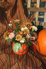 Harvest Pumpkin