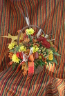Autumn Splendor