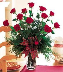 Christmas Roses