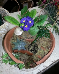Broken Pot Fairy Garden