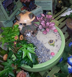 Fairy Garden with House from Olney's Flowers of Rome in Rome, NY