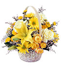 FTD Flourishing Garden Basket - Yellow & White Basket from Olney's Flowers of Rome in Rome, NY
