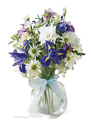 FTD Bouncing Baby Boy Bouquet from Olney's Flowers of Rome in Rome, NY