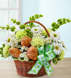 St. Patrick's Day Flower Basket from Olney's Flowers of Rome in Rome, NY