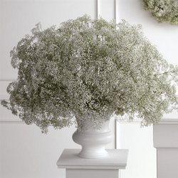 Baby's Breath Urn Arrangement from Olney's Flowers of Rome in Rome, NY