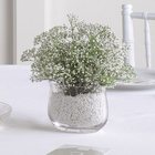 Baby's Breath Vase Arrangement from Olney's Flowers of Rome in Rome, NY