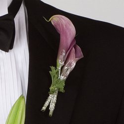 Purple Calla Lily Boutonniere from Olney's Flowers of Rome in Rome, NY