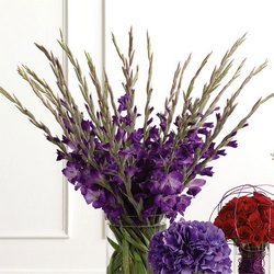 Purple Gladiolus Altar Arrangement from Olney's Flowers of Rome in Rome, NY
