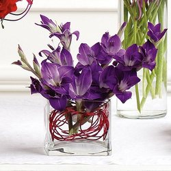Miniature Purple Gladiolus Arrangement from Olney's Flowers of Rome in Rome, NY