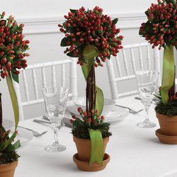 Hypericum Topiary Trio Centerpiece from Olney's Flowers of Rome in Rome, NY