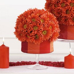 Small Orange Gerbera Sphere Arrangement from Olney's Flowers of Rome in Rome, NY