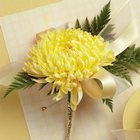 Yellow Chrysanthemum Corsage from Olney's Flowers of Rome in Rome, NY