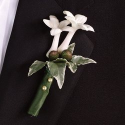 Stephanotis Boutonniere from Olney's Flowers of Rome in Rome, NY