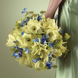 Green & Blue Bridesmaid Bouquet from Olney's Flowers of Rome in Rome, NY