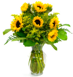 Vase of Sunflowers from Olney's Flowers of Rome in Rome, NY
