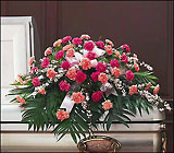 Delicate Pink Casket Spray from Olney's Flowers of Rome in Rome, NY