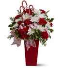 Peppermint Posies