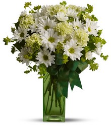 St. Patrick's Day-zies by Teleflora from Olney's Flowers of Rome in Rome, NY