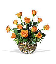 A Dozen Orange Roses from Olney's Flowers of Rome in Rome, NY