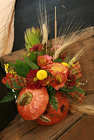 Harvest Pumpkin