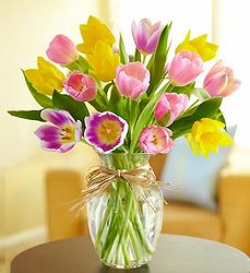 Timeless Tulips from Olney's Flowers of Rome in Rome, NY