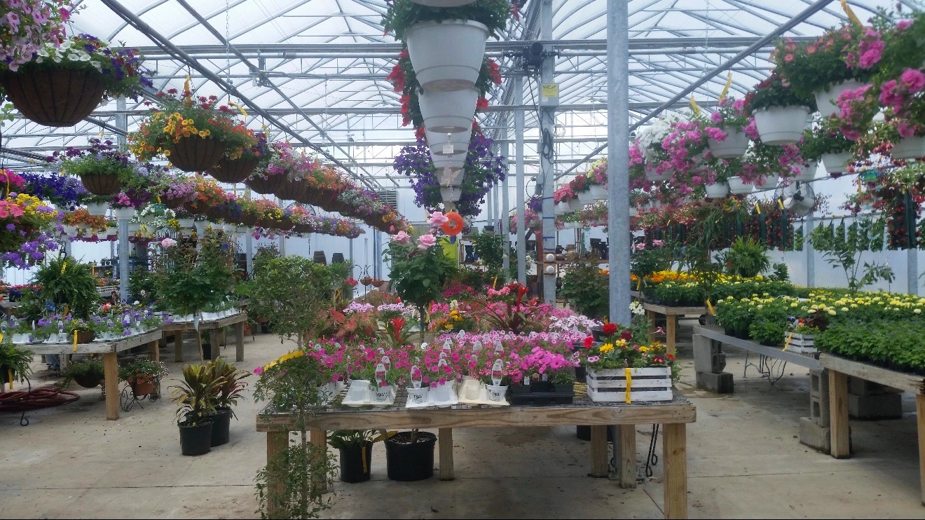 Olney's Flowers in Rome, NY