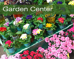 Olney's Garden Center