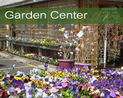 Olney's Garden Center
