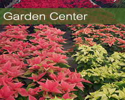 Olney's Garden Center