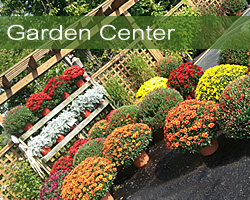 Olney's Garden Center