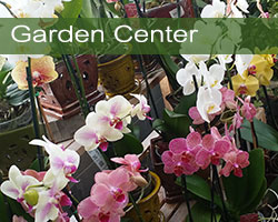 Olney's Garden Center