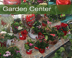 Olney's Garden Center