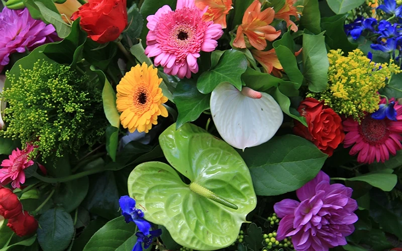 Shop Olney's Flowers Birthday Flower Collection