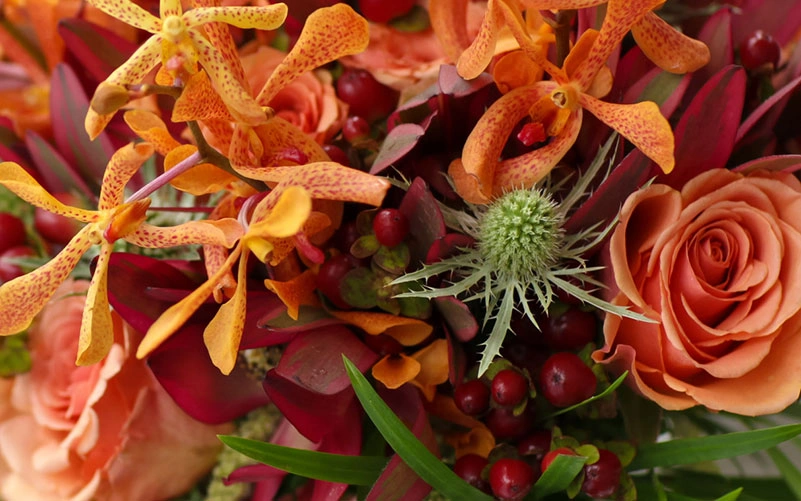Shop Olney's Flowers Seasonal Arrangements Collection