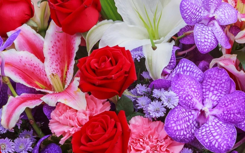 Shop Olney's Flowers Love and Romance Collection