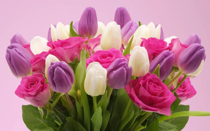 Shop Olney's Flowers Mother's Day Arrangements Collection