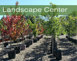 Olney's Landscape Center