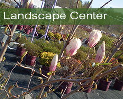 Olney's Landscape Center
