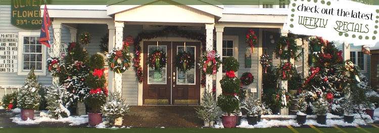 Olney's Flowers- your florist in Rome - Fresh flowers are here!