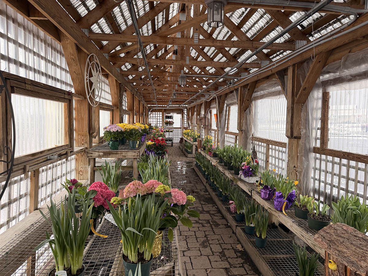 Olney's Flowers in Rome, NY